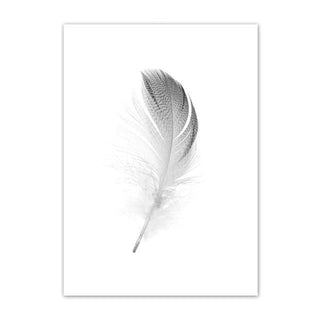 Minimalist Feather & Dandelion Canvas Wall Art
