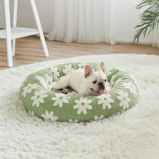 Pet Supplies