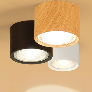 Cylinder Flush Mount Ceiling Light