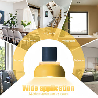 Scandinavian Macaron Pendant Light