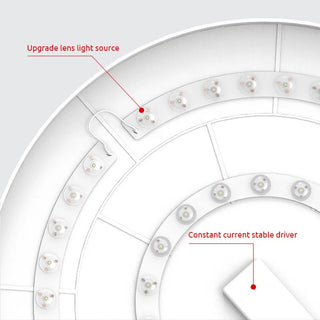 Round Flush Mount Ceiling Light