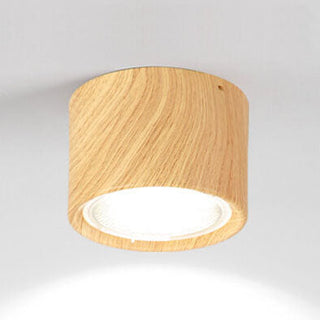 Cylinder Flush Mount Ceiling Light