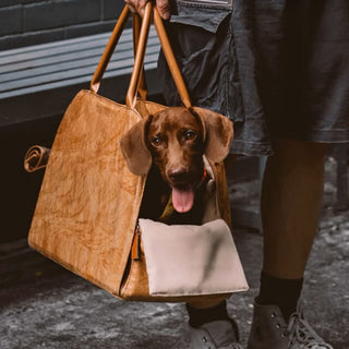 Breathable Travel Bag for Cats & Small Dogs