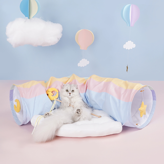 Cloud Cat Tunnel