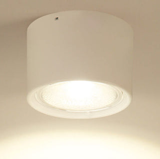 Cylinder Flush Mount Ceiling Light