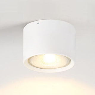 Cylinder Flush Mount Ceiling Light