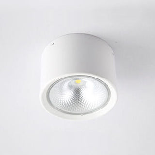 Cylinder Flush Mount Ceiling Light