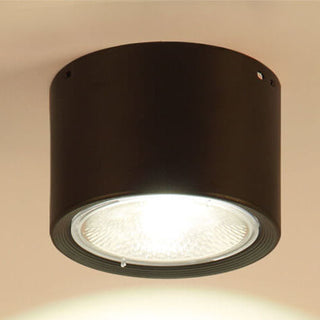 Cylinder Flush Mount Ceiling Light