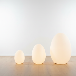 Modern Sculptural  Oval LED Floor Lamp