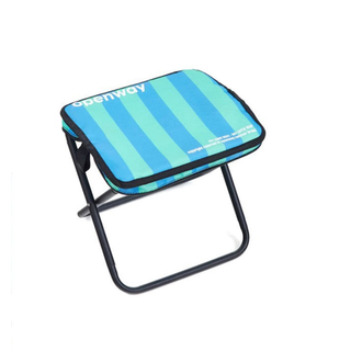 Portable Folding Camping Stool