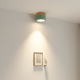 Minimalist Aluminum Ceiling Light with Wood Accent