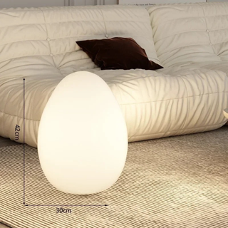 Modern Sculptural  Oval LED Floor Lamp
