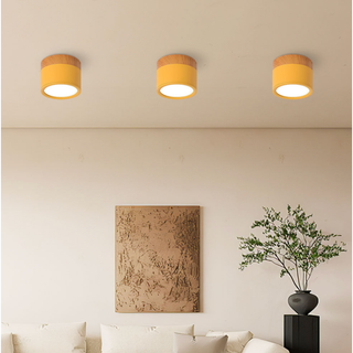 Minimalist Aluminum Ceiling Light with Wood Accent