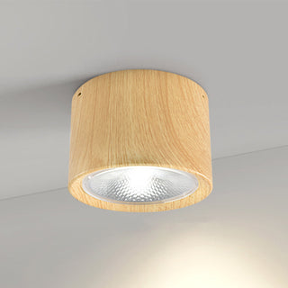 Cylinder Flush Mount Ceiling Light