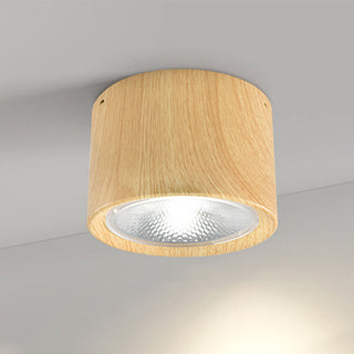 Cylinder Flush Mount Ceiling Light