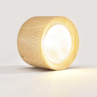 Cylinder Flush Mount Ceiling Light