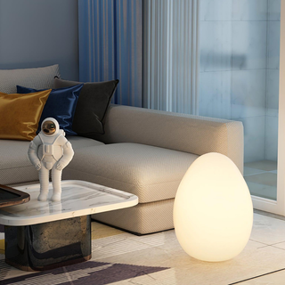 Modern Sculptural  Oval LED Floor Lamp