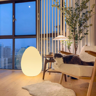 Modern Sculptural  Oval LED Floor Lamp