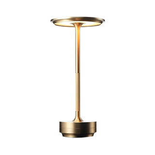 Rechargeable Brass Table Lamp
