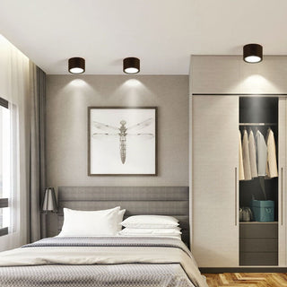 Cylinder Flush Mount Ceiling Light