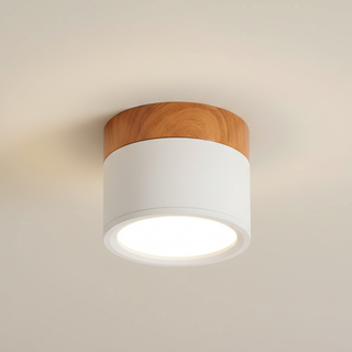 Minimalist Aluminum Ceiling Light with Wood Accent