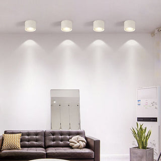 Cylinder Flush Mount Ceiling Light
