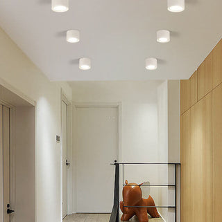 Cylinder Flush Mount Ceiling Light