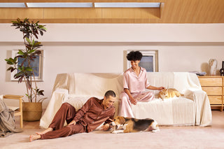 Comfortable Double-Sided Couch Cover