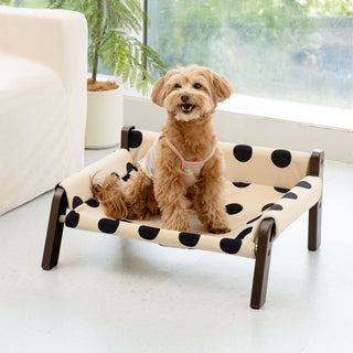 Polka Dot Frosted Suede Elevated Dog Bed