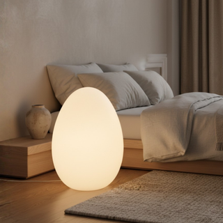 Modern Sculptural  Oval LED Floor Lamp