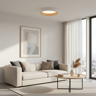 Frameless Round LED Ceiling Light