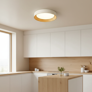 Frameless Round LED Ceiling Light