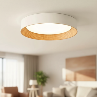 Frameless Round LED Ceiling Light