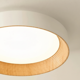 Frameless Round LED Ceiling Light