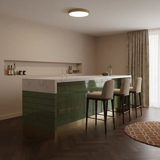 Minimalist Round LED Ceiling Light With Iron Frame