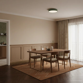 Minimalist Round LED Ceiling Light With Iron Frame