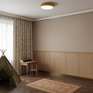Minimalist Round LED Ceiling Light With Iron Frame