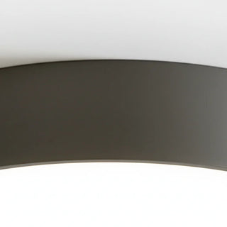 Minimalist Round LED Ceiling Light With Iron Frame