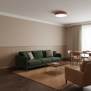Minimalist Round LED Ceiling Light With Iron Frame