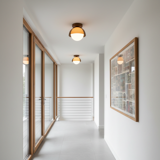 Retro Dome LED Ceiling Light