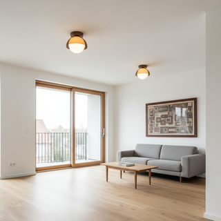 Retro Dome LED Ceiling Light
