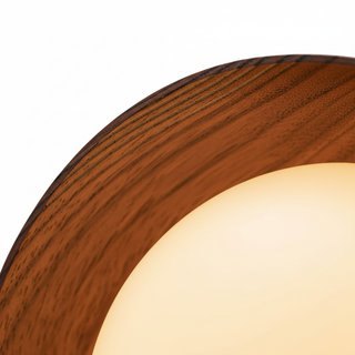 Retro Dome LED Ceiling Light