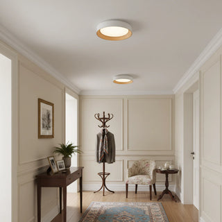 Frameless Round LED Ceiling Light