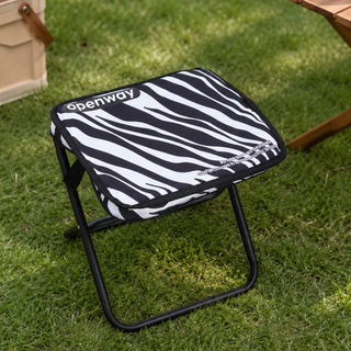 Portable Folding Camping Stool