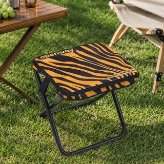 Portable Folding Camping Stool