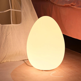 Modern Sculptural  Oval LED Floor Lamp