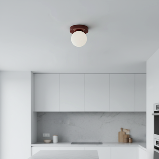 Nordic Glass Globe Wall & Ceiling Light