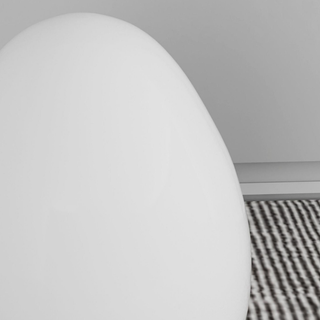 Modern Sculptural  Oval LED Floor Lamp