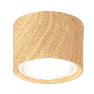 Cylinder Flush Mount Ceiling Light