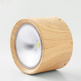 Cylinder Flush Mount Ceiling Light